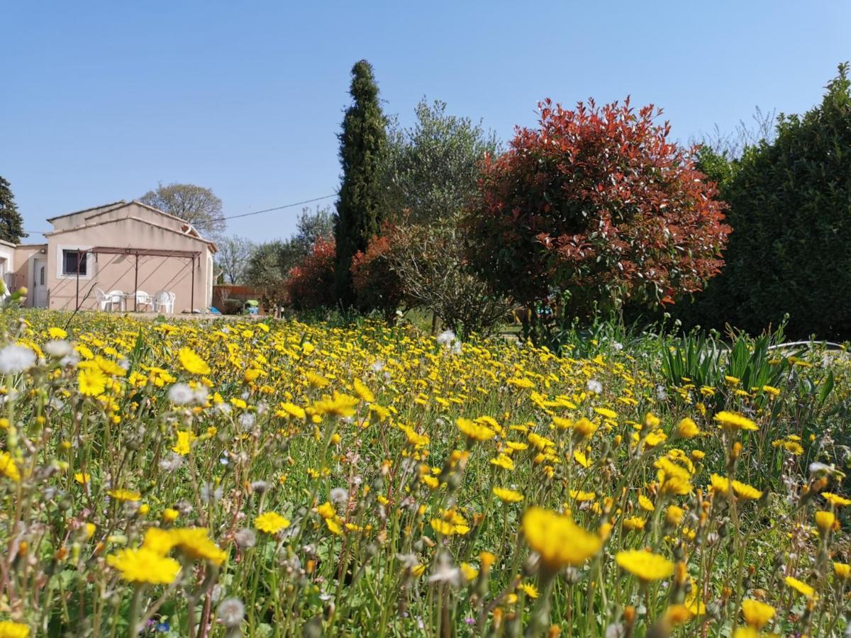 Maison De Vacances L'Hote Champetre Campagne Arlesienne 外观 照片